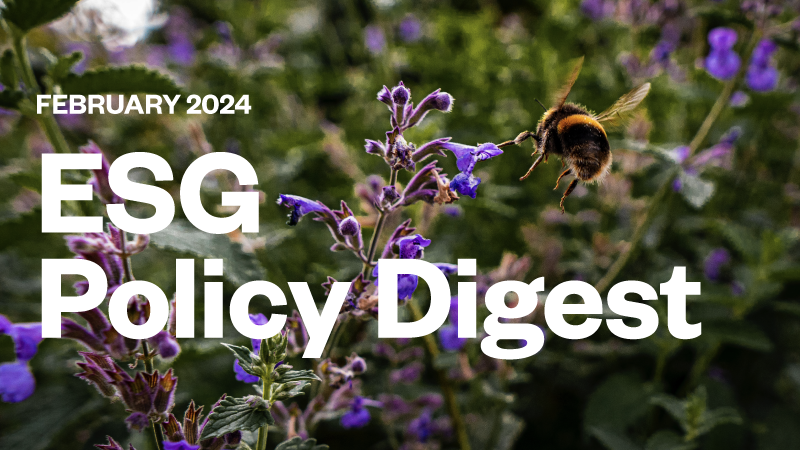 Sustainability information - february policy digest