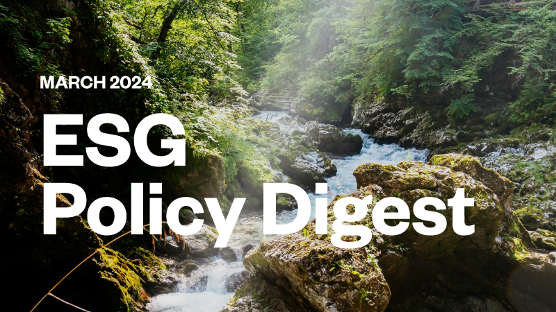 sustainability reporting standards - policy digest march 2024